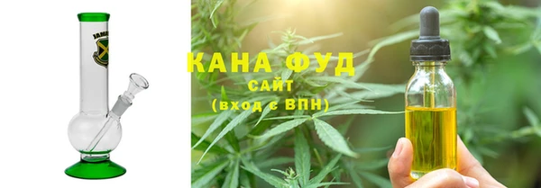 гидра Богородицк