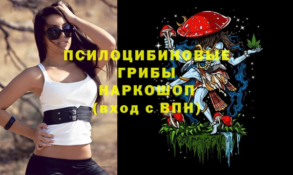 марки nbome Белокуриха