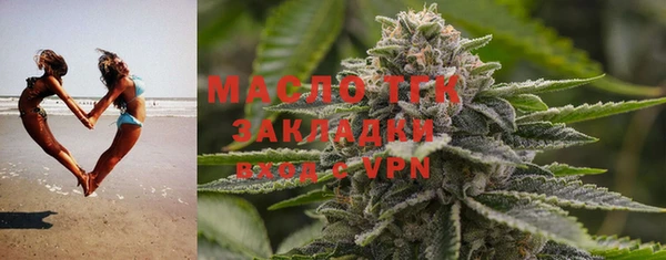 гидра Богородицк