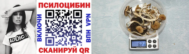 Галлюциногенные грибы мухоморы  магазин продажи   Сретенск 